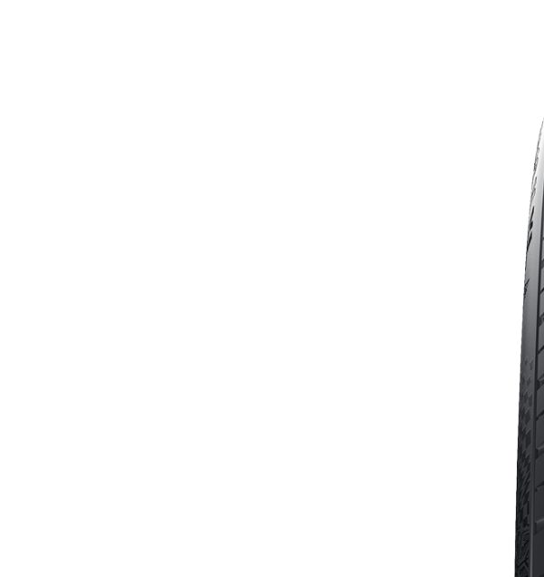 W.CON TS 860 S, 245/40 R20 99W Etykieta opony UE – Przyczepność na mokrej nawierzchni: C, Efektywność paliwowa: C, Poziom hałasu: 72 dB,  Opona śnieżna