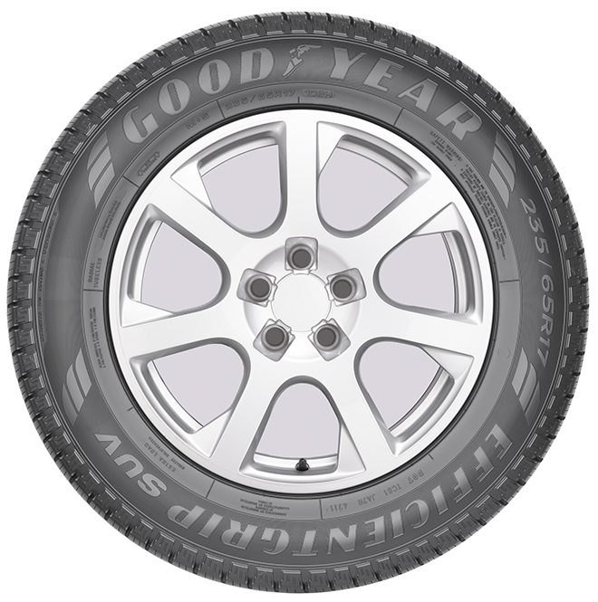 EFFICIENTGRIP SUV - Opony letnie Tire - 225/55/R19/99V