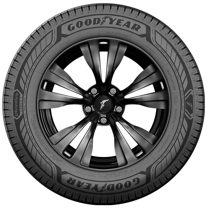 EFFICIENTGRIP CARGO 2 - Opony letnie Tire - 215/75/R16/113R